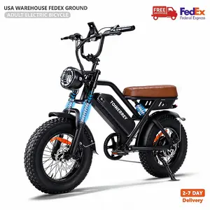 T16 Adult Carbon Steel Mountain Ebike - 1000W Peak Brushless Motor, 48V 15.6Ah Battery, 16-Inch Fat Tires, 22 mph Max Speed, 30° Climbing Capability, Suspension, Off-Road All-Terrain Long-Range Electric Bicycle