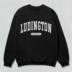 Ludington Sweatshirt Michigan Collegiate Crewneck Sweater Unisex