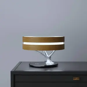 Circle of Life Lamp