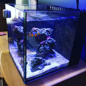 Start Your Aquatic Adventure with the Premade 9 Gallon Saltwater Tank
