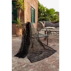 Organza embroidered Dupata