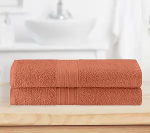 Superior Cotton 2 Piece Solid Absorbent Bath Sheet Set