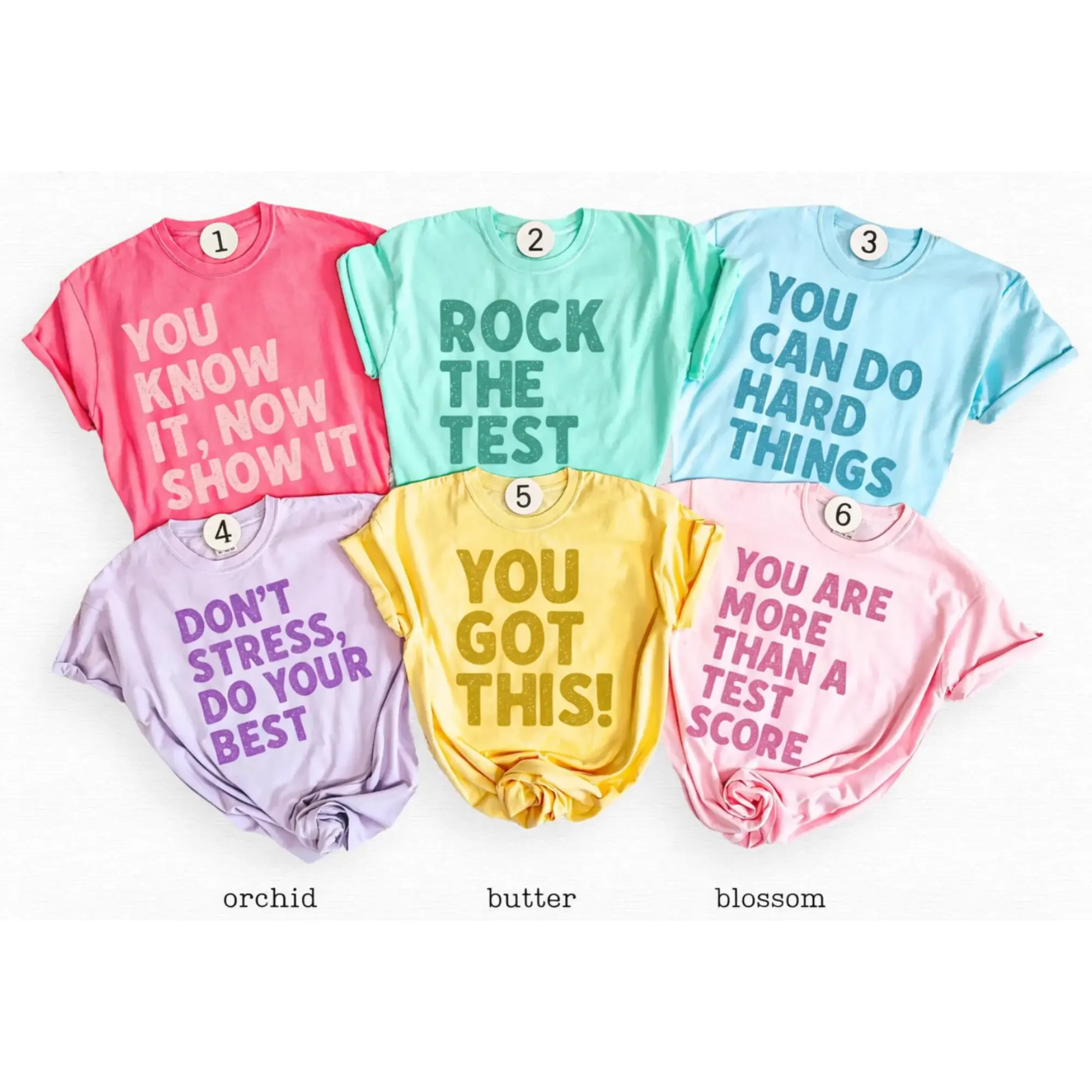 Custom Test Day TShirt, You Can Do Hard Things TShirt, Comfort Colors, Matching State Testing Shirts, Teacher Team T-Shirts, Gen Z School Testing Day Tee, Testing Coordinator Shirt
