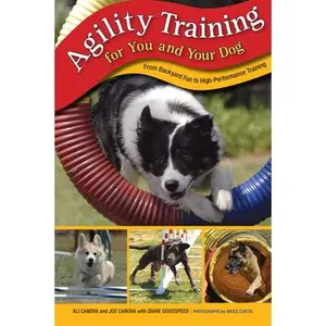 USED-Agility Training for You and Your Dog: From Backyard Fun To High-Performance Training by Ali Canova (Paperback)
