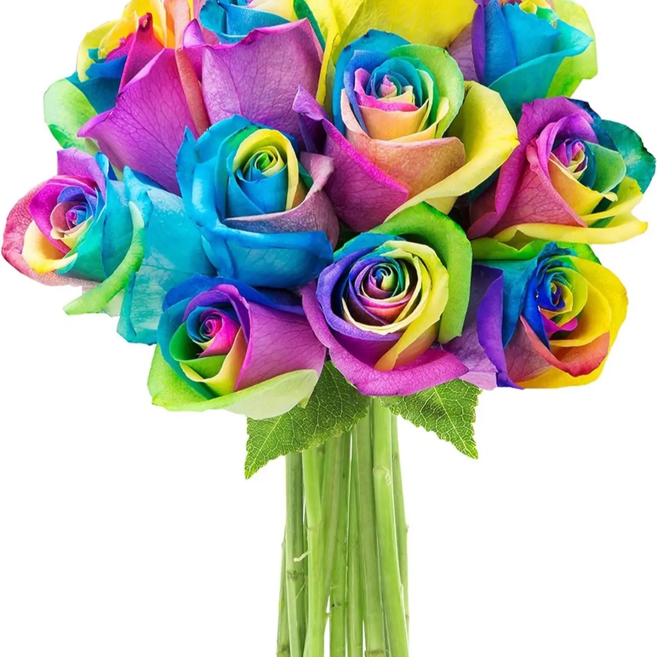Bouquet of Fresh 12 Rainbow Roses | Flowers For Delivery Prime | Gift for Birthday, Sympathy, Anniversary, Get Well, Thank You, Valentine, Mother’s Day Flowers Decor Decorative