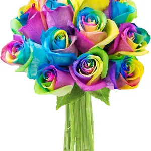 Bouquet of Fresh 12 Rainbow Roses | Flowers For Delivery Prime | Gift for Birthday, Sympathy, Anniversary, Get Well, Thank You, Valentine, Mother’s Day Flowers Decor Decorative