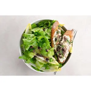 TomorrowSeeds - Broadleaf Batavian Endive Seeds -  NonGMO USA Escarole Chicory Frisee Bitter Garden Vegetable Belgian Seed 2024 Season