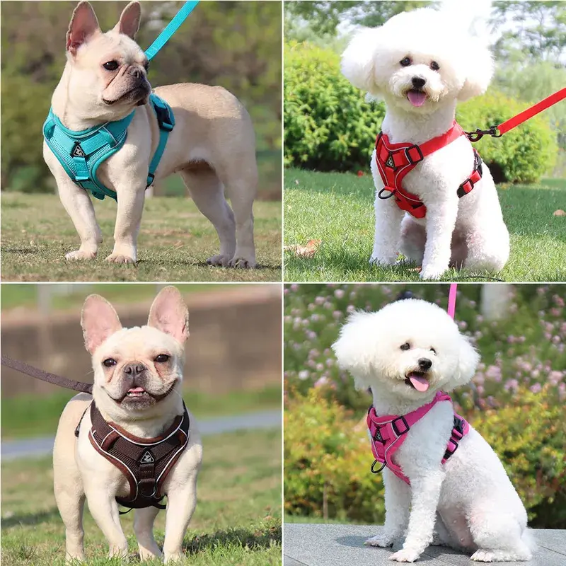 Customized Padded Quick Release Harness & Leash Set for Small Dogs - Pet Pectoral Collar Accessories with Lights, Ideal for French Bulldog, Pug Puppy Pet Supplies