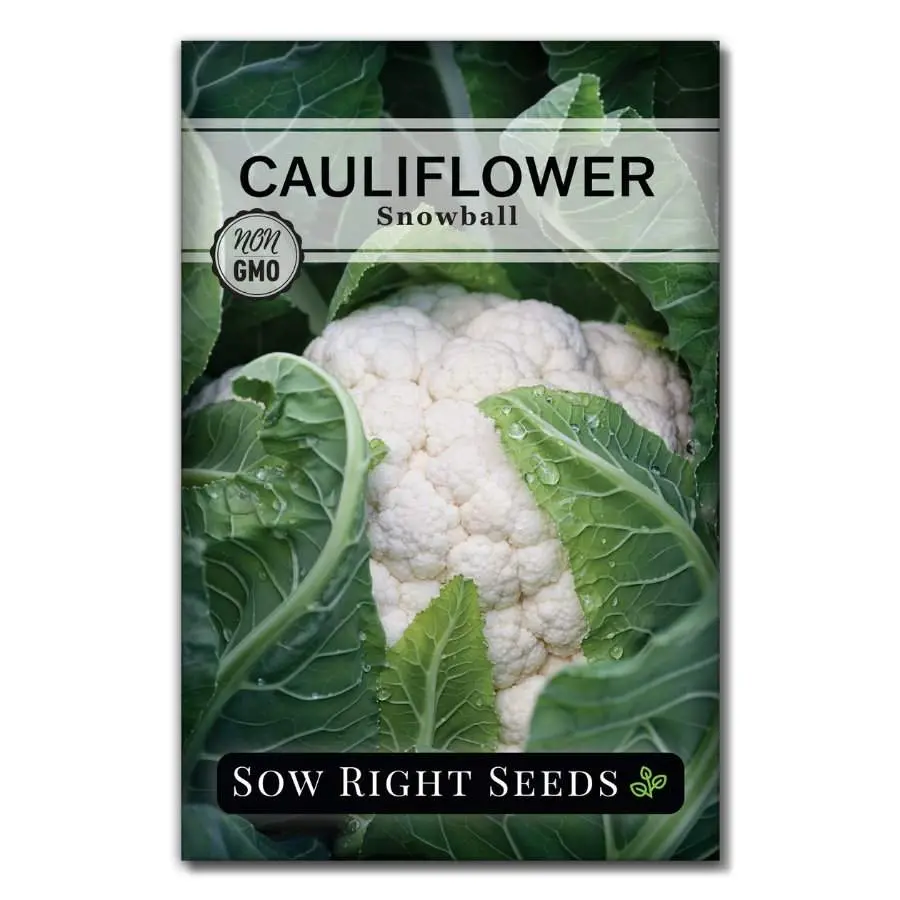SOW RIGHT SEEDS Snowball Cauliflower Vegetable Seeds, Ideal for Home Garden Supplies to Grow Vegetables