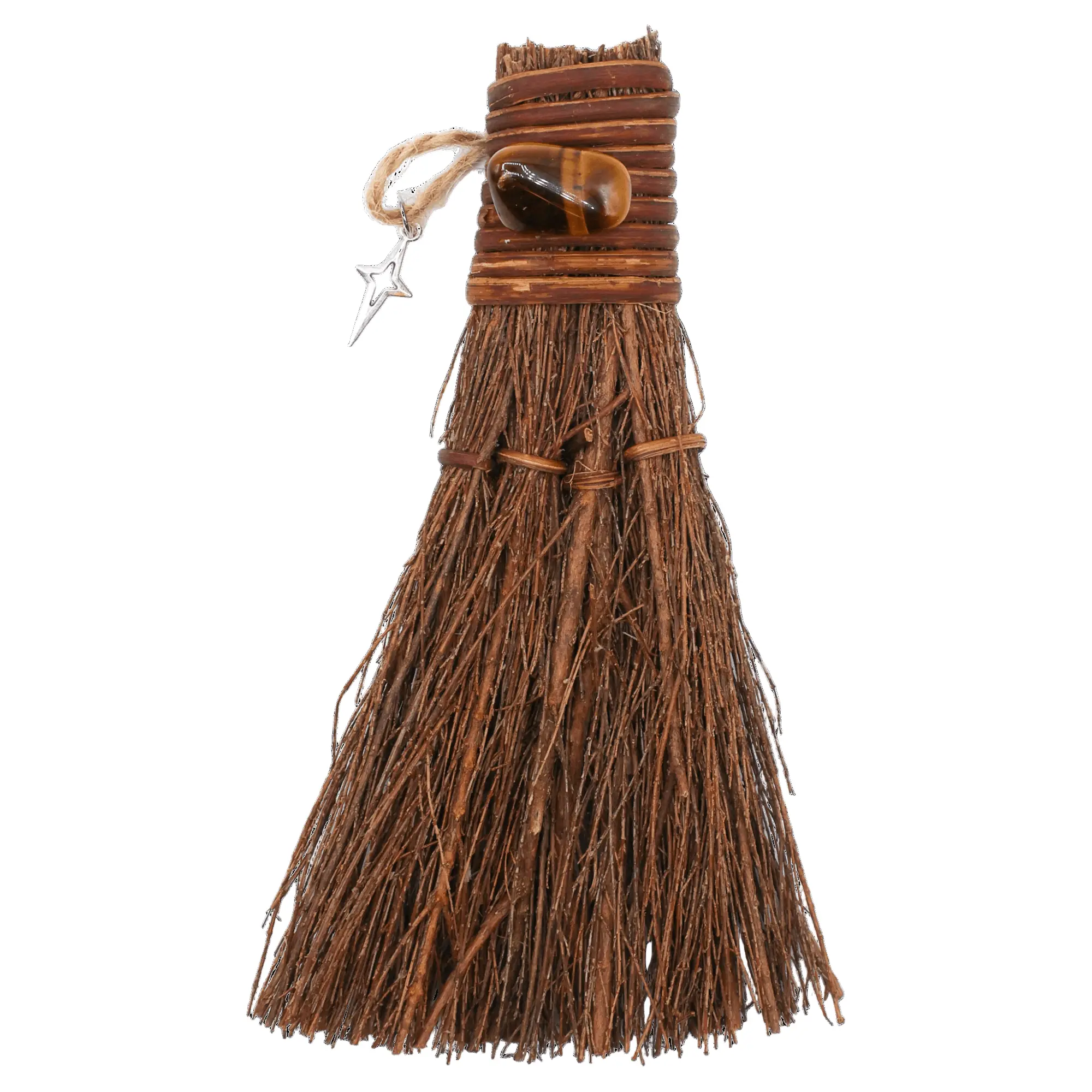 Tiger's Eye Cinnamon Witch's Broom Tiger's Eye Cinnamon Witch's Broom