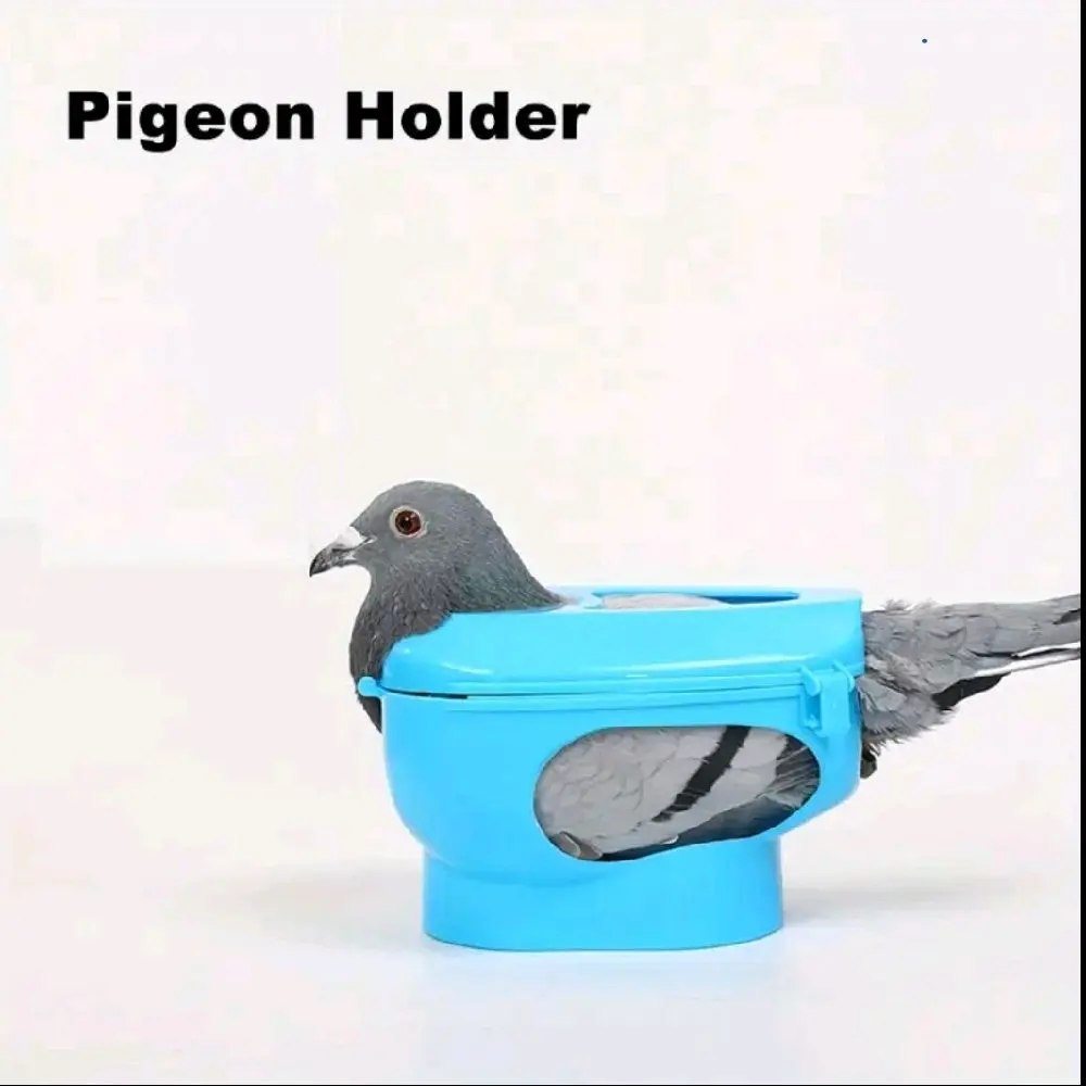 Soporte Duradero para Palomas de PP con Jeringa de Alimentación - Restricción Segura para Aves para Inyección y Alimentación Fácil Bird Feeder Station Dispenser Feeding