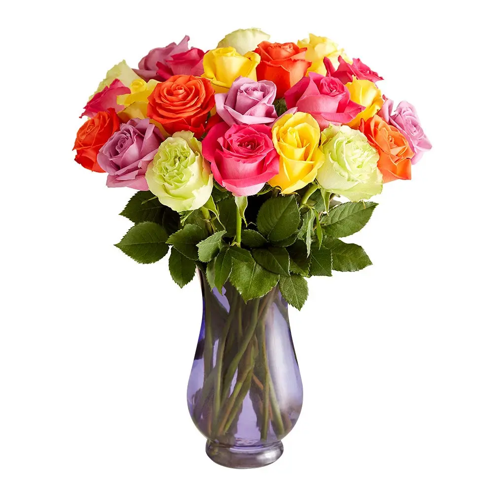 1800 Flowers – 24 Stem Assorted Bright Roses (Clear Purple Vase Included) | Fresh Cut Spring Flowers for Delivery |Gift for Spring, Anniversary, Sympathy, and Special Occasions