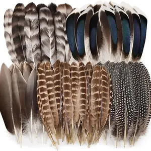 60 PCS High-quality Handcrafted Vase Fillers in 5 Styles, Featuring A Mixed Feather Pattern. Soft Feathers in Vibrant Colors. Suitable for DIY Crafts, Handmade Jewelry Accessories, Home Décor, Party and Performance Accessories.