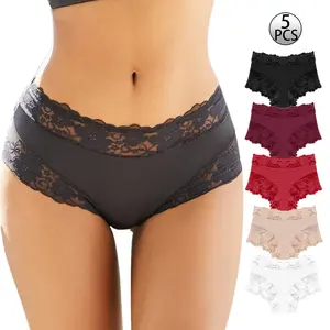 Women's 5PCS Lace Panties Low Rise Bikini Panties Mesh Breathable Soft Daily Panties Hollow Out Floral Pattern Briefs Elegant Size S-XL