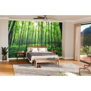 Young Forest Trees Wall Mural