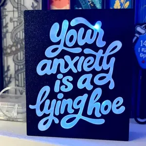 Your Anxiety is a Lying Hoe Light Up Book Nook