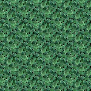 Rhapsody In Blue | Leaves | Green