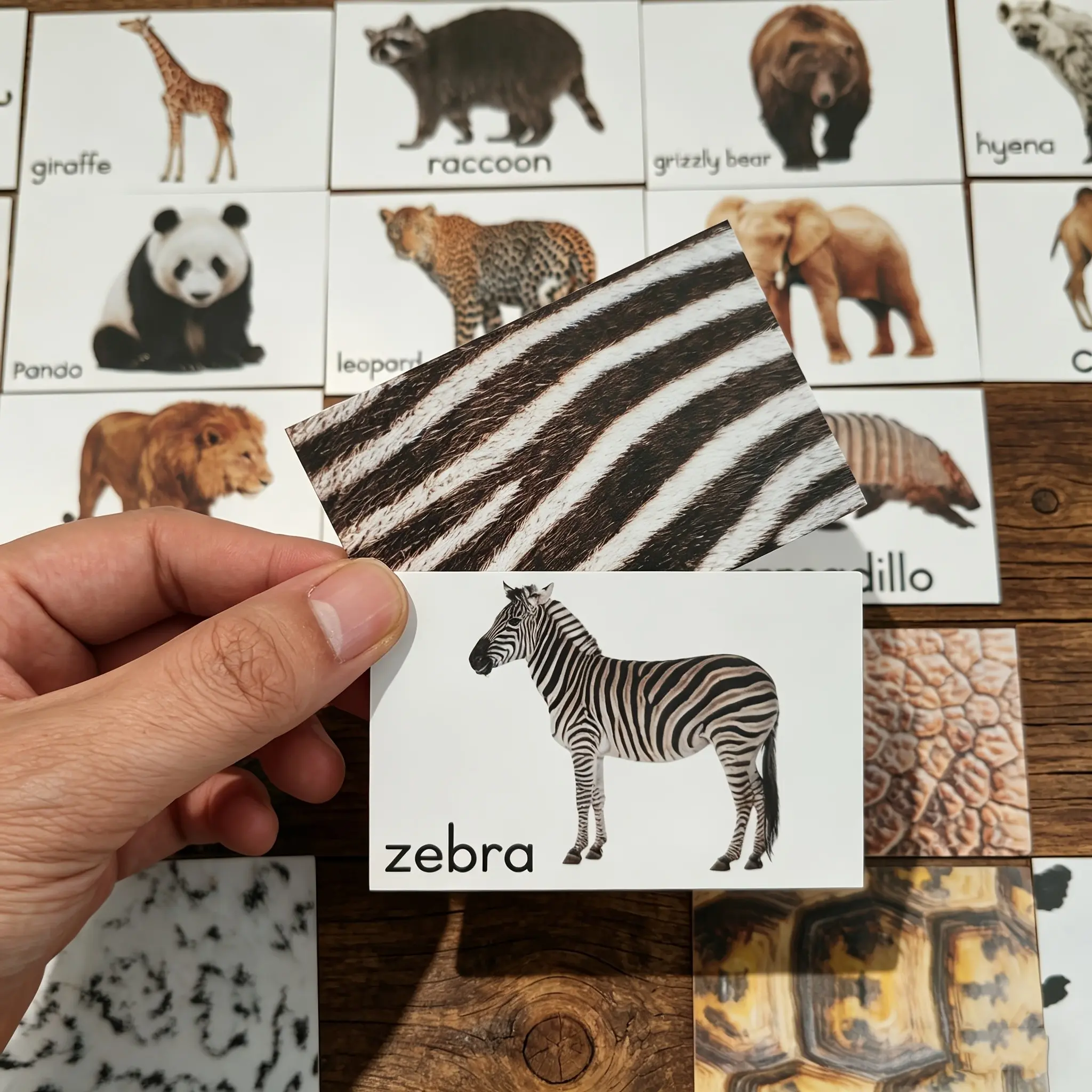 54pcs Animal Matching Cards for Visual Attention Exercises, Focus Training, Color-Texture Recognition, Ideal for Seniors and Disabled Individuals