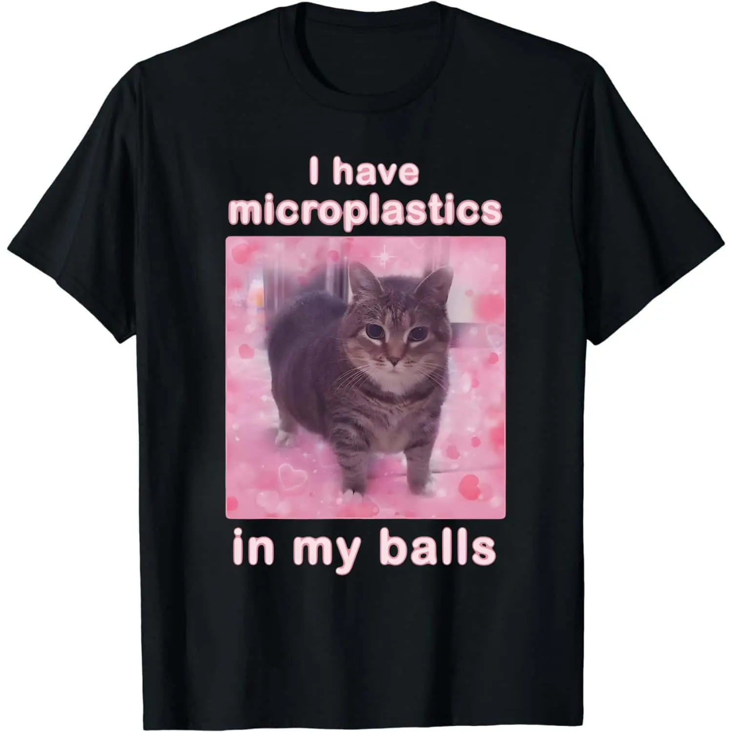 I Have Microplastics in my Balls Funny Cat Meme T-shirt, Gift for Woman, Ironic Cats Shirt, Stupid Silly Gifts, Goofy Ahh Cat Tee Shirt Gift Womenswear Prints 0704D 818