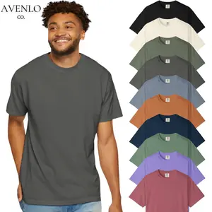 Comfort Colors 1717 Graphic Tee for Men & Women, Funny Aesthetic Vintage T-Shirt, Trendy Casual Cotton Crewneck Streetwear, Viral Gift Idea, Gift for Boyfriend Girlfriend