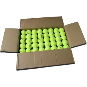 Magicorange Tennis Balls 120 Pack Bulk Tennis Balls Pressureless Tennis Ball Pet Dog Playing Balls Good for Beginner Training Ball