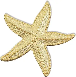 Starfish Pin Brooch for Women Vintage Gold Plated Seashell Sea Shell Pins Small Ocean Star Broach Lapel Brooches for Dress Beach Party Dance Banquet Summer Beach Jewelry Accessories