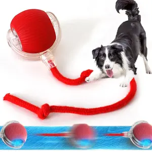 Smart Electric Rolling Dog & Cat Ball – Rechargeable Plush Mouse Toy