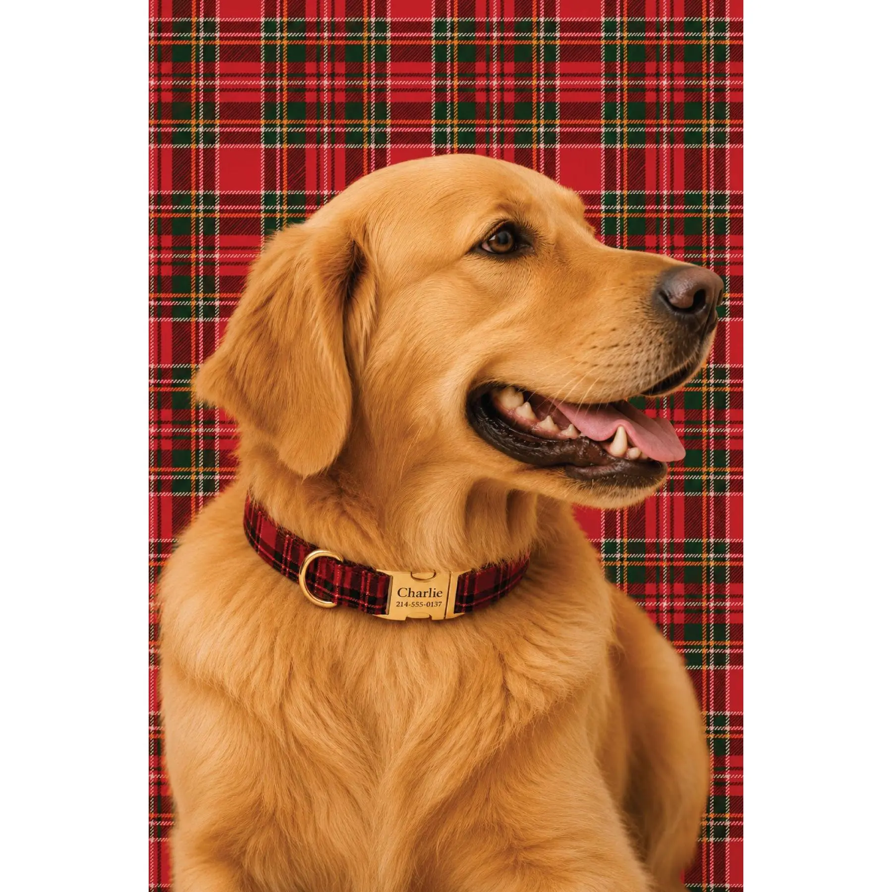 Dog Collar | Plaid Tidings
