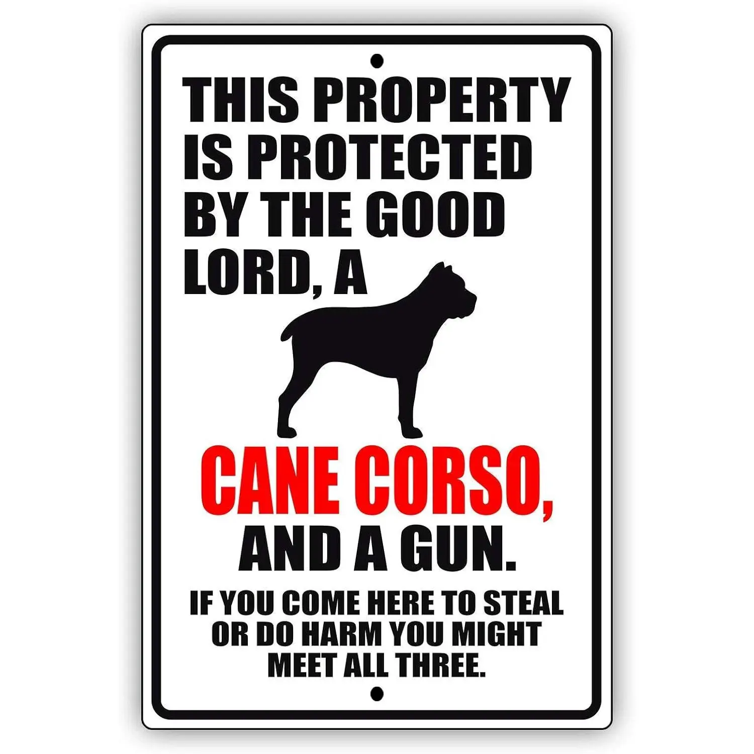 Vintage Aluminium Metal Sign - "This Property Is Protected By The Good Lord & A Cane Corso Dog" Funny Retro Decor, 8×12 in Home Decor Items for Office Wall, Vintage Metal Sign