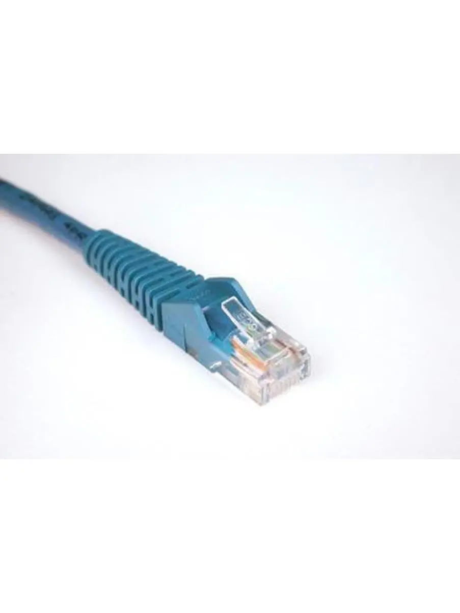 Tripp Lite N001-050-Bl 50Ft Cat5E Snagless Patch Cord, 350 MHz, PVC Jacket for High-Speed Data Transfer