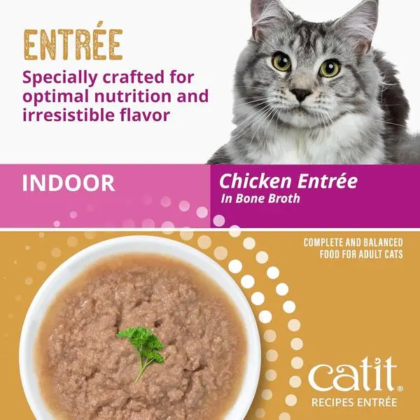 Recipes Indoor Chicken Entrée – High-Protein Wet Cat Food with L-Carnitine, Bone Broth for Hydration, Omega-3 for Skin & Coat, and Prebiotics & Postbiotics for Gut Health 5.5oz (12/cs)