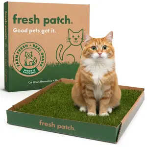 Fresh Patch Cat (Large) Fresh Patch Cat (Large)