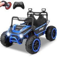 Blue-110lbs Cap-24V-2Seater-3Y+