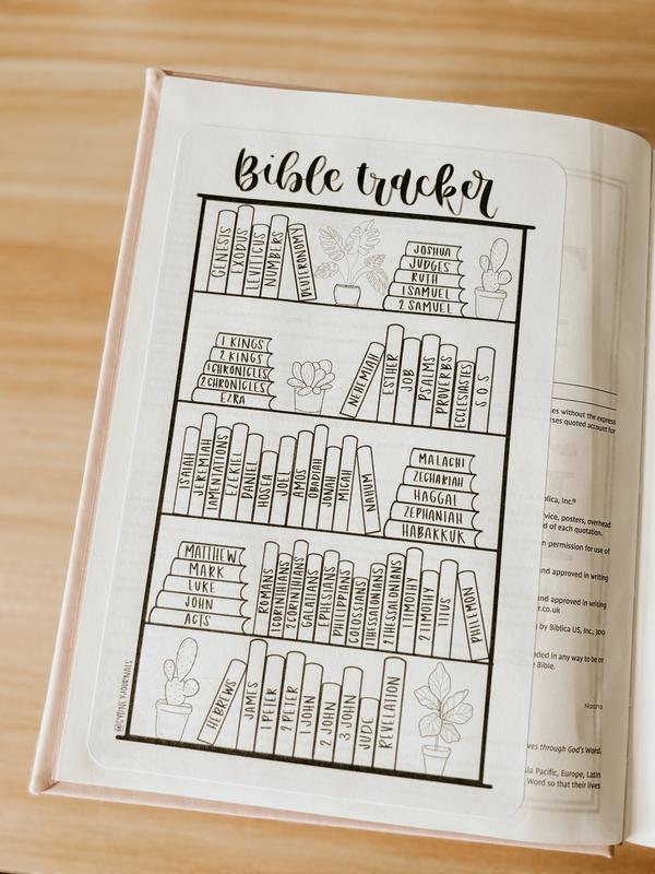 Mr. Pen Esther Bible Journaling Kit with 12 Dual Tip Highlighters, 6 .5mm Pens, Magnetic Bookmarks, Sticky Notes, & Bible Tabs