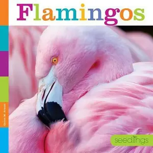 USED-Flamingos by Arnold, Quinn M. (Library Binding)