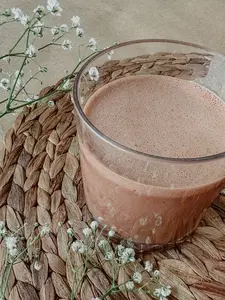 Mushroom Mocha Travel Size: Organic Cacao, Turkey Tail, Reishi and Chaga Mushrooms