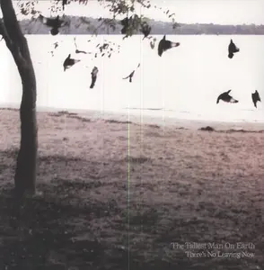 The Tallest Man on Earth - There's No Leaving Now  [VINYL RECORD - LP]