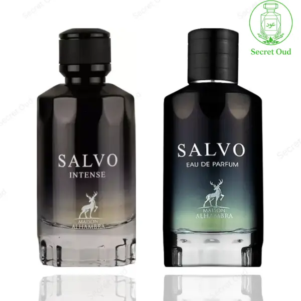 Men's Multi-Scent Packaged Fragrance 2-Piece Bundle - Salvo & Intense Varieties, Multi-Scent Men's Fragrance, Packaged Men's Fragrance