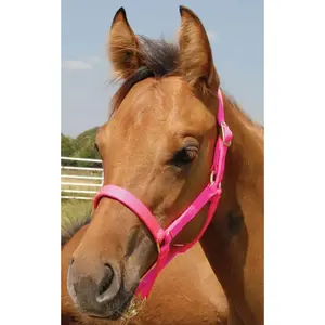Jeffers Nylon Foal & Pony Halter