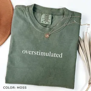 Comfort Colors Overstimulated Shirt for Mom, Unhinged shirt, Weirdcore Clothing, Gen Z Shirt, Weird Stuff Funny TShirt