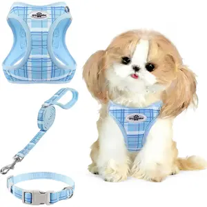 Small Dog Harness and Leash Set for Puppy & Kitten - 3-in-1 No Pull Step in Vest Collar, Lightweight Reflective Plaid, Padded Handle (Blue, XS)