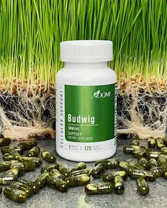 Noomi Health Budwig Immune Support Capsules That Work On A Cellular Level - Organic Flaxseed Oil, Whey Protein Concentrate Dietary Supplement Healthcare Vitamins Fitness