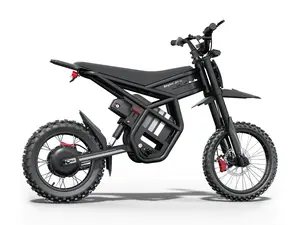 Riding Times GT54 Pro Mini Electric Bike
