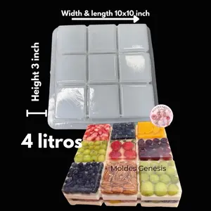 Molde de Plástico para Gelatinas en Forma de Cuadros 10x3 Pulgadas 4 Litros Ideal para Cocina