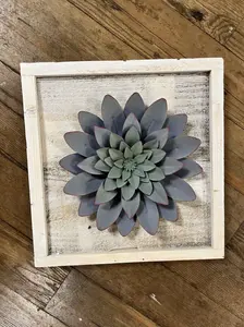 Purple Succulent