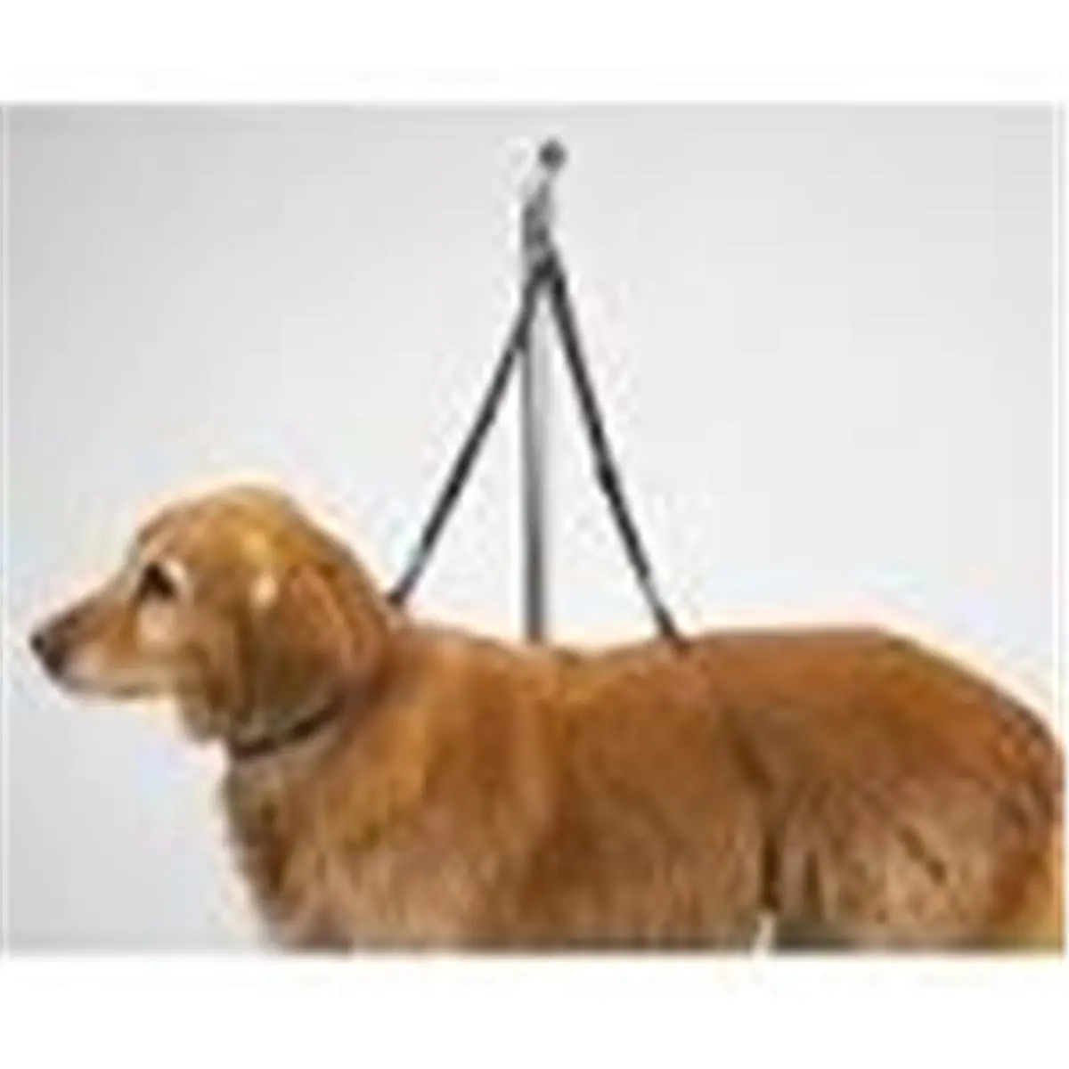 212 MAIN Grooming Nylon Table Harness - 27 in, Adjustable Loops, Burgundy Trim, Secure Fit, Top Performance Fabric
