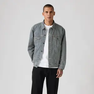 Levi's Men's Relaxed Fit Striped Trucker Jacket