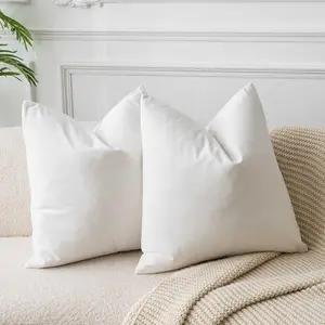 Cream White Velvet Throw Pillow Covers 22x22 Set of 2,Decorative Soft Solid Cushion Cases for Couch Sofa Bed