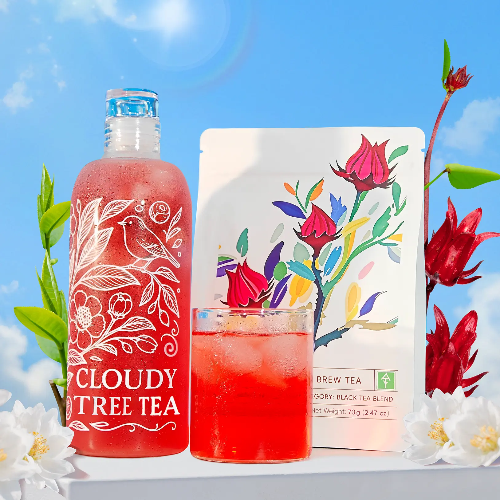 Hibiscus Black Cold Brew Tea