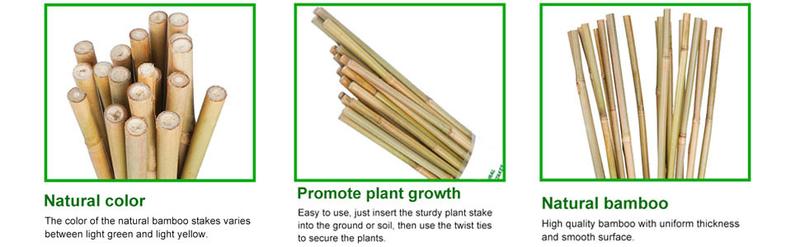 2FT-6FT Natural Bamboo Plant Stakes, Garden Support for Tomatoes & Flowers